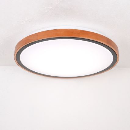 Globo - LED-Deckenleuchte LED/24W/230V 3000/4500/6000K d 43,7 cm