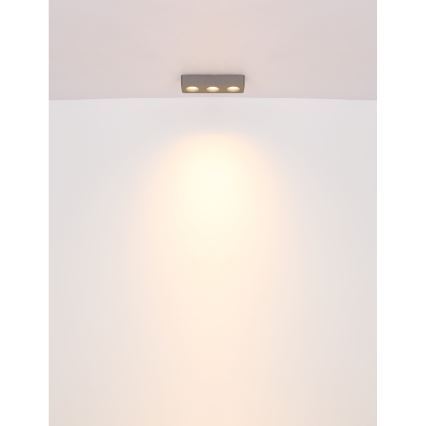 Globo - LED-Deckenleuchte LED/14W/230V 11,7x33,2 cm