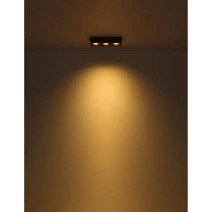 Globo - LED-Deckenleuchte LED/14W/230V 11,7x33,2 cm
