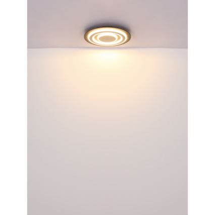 Globo - LED-Deckenleuchte LED/24W/230V 3000K d 32 cm