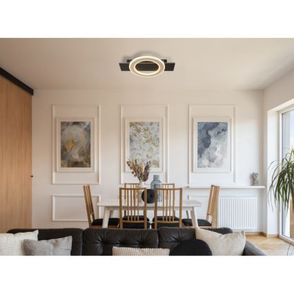 Globo - LED-Deckenleuchte LED/18W/230V 3000K 29x44 cm