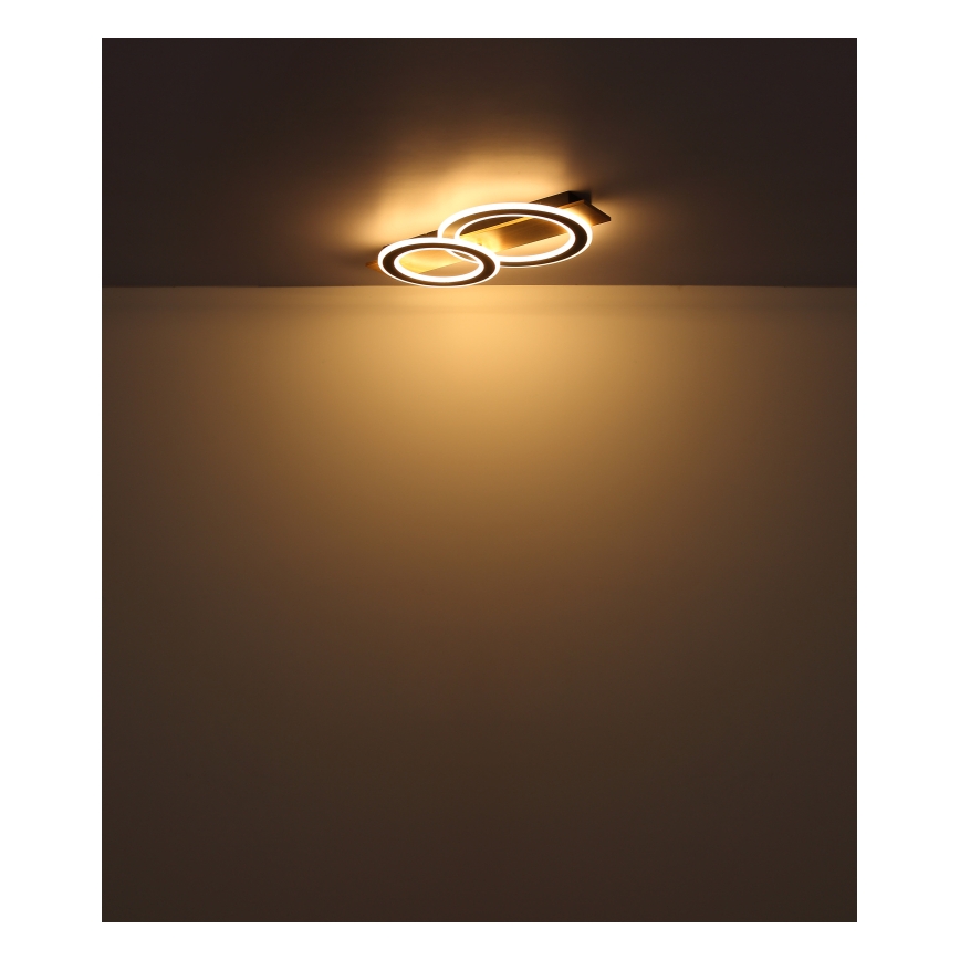 Globo - LED-Deckenleuchte LED/40W/230V 3000K 35x63 cm