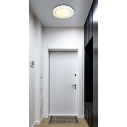Globo - LED-Deckenleuchte LED/24W/230V 4000K d 38 cm