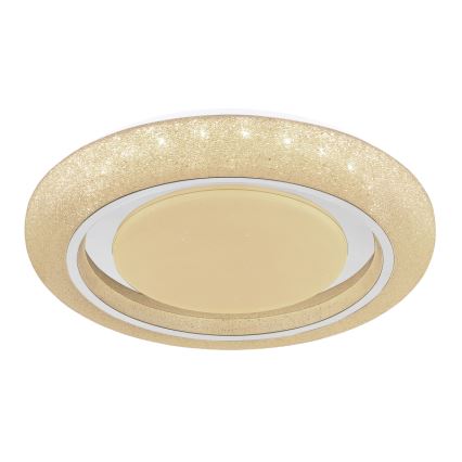 Globo 483111-40 - LED Deckenleuchte RADA LED/40W/230V 2700/4200/6500K Ø 49 cm