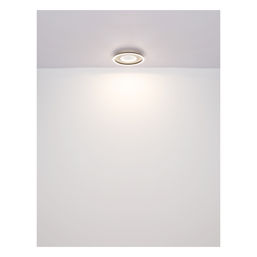 Globo - LED-Deckenleuchte LED/24W/230V 2700/4500/6500K d 33 cm