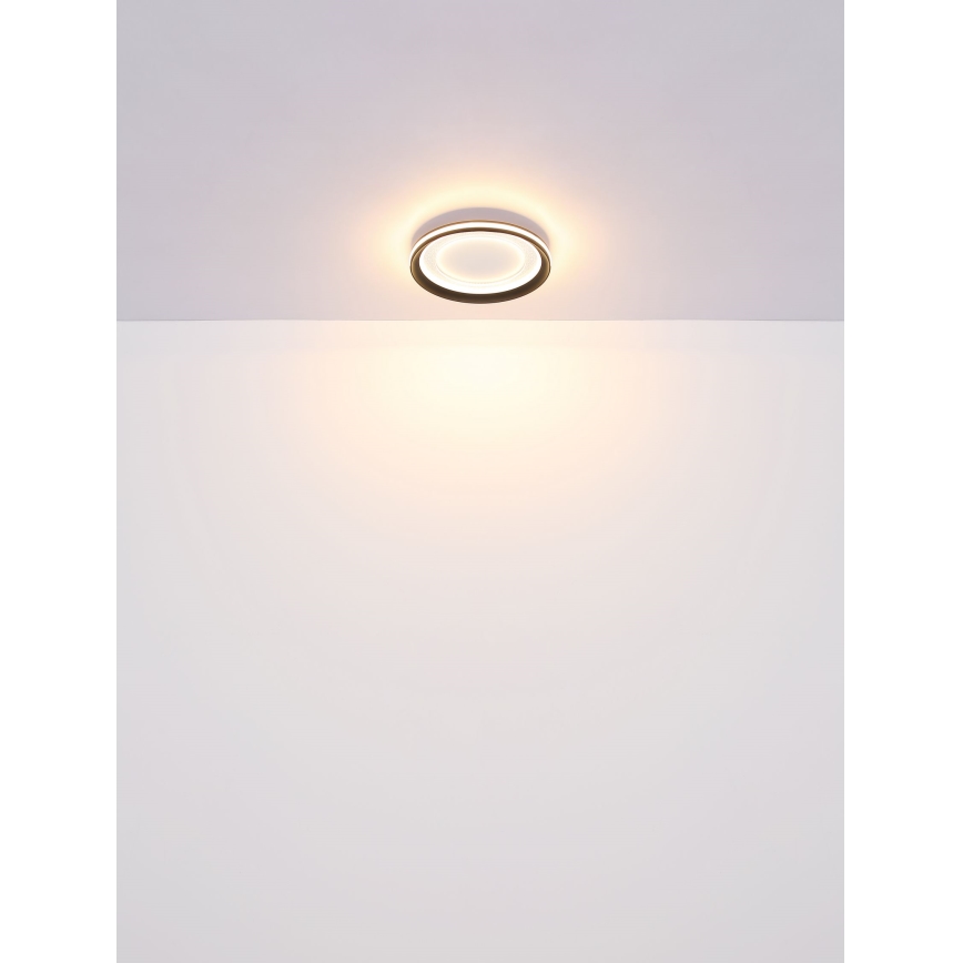 Globo - Dimmbare LED-Deckenleuchte LED/24W/230V 2700-6000K + Fernbedienung