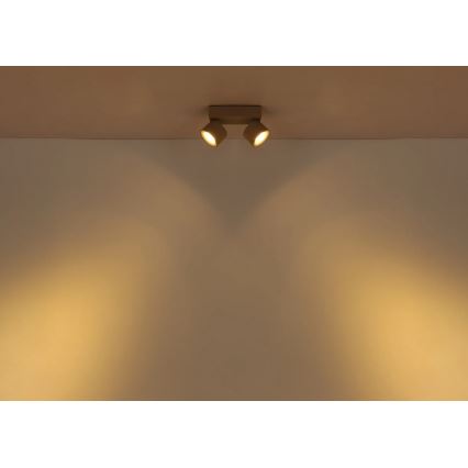 Globo - LED-Deckenstrahler 2xLED/6W/230V