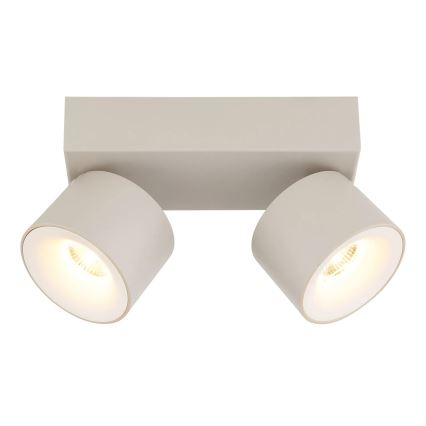 Globo - LED-Deckenstrahler 2xLED/6W/230V