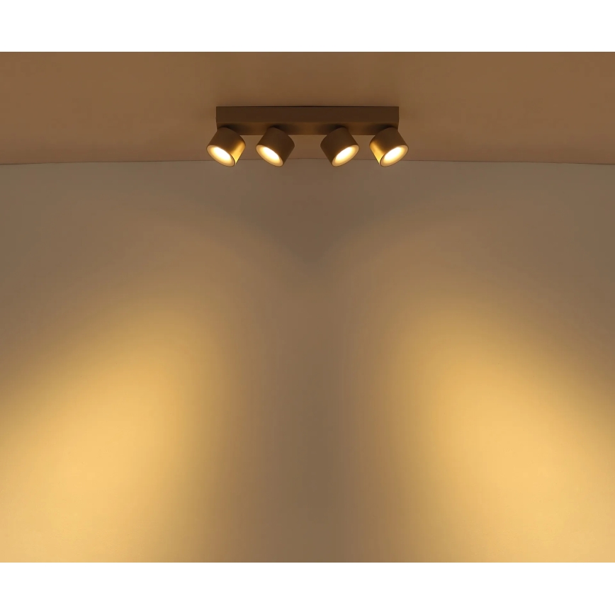 Globo - LED-Spotleuchte 4xLED/6W/230V