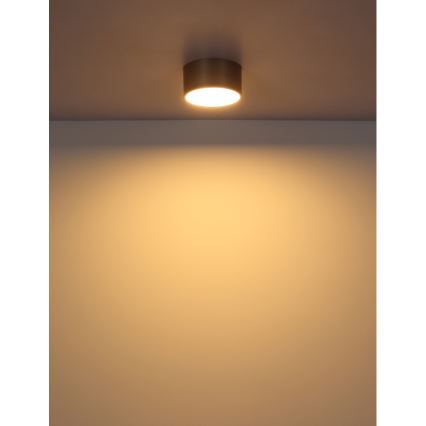 Globo - LED-Deckenleuchte LED/12W/230V Ø 15 cm 3000K beige