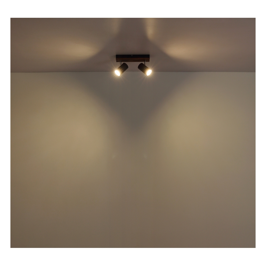 Globo - Strahler 2xGU10/25W/230V schwarz