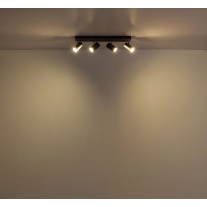 Globo - Strahler 4xGU10/25W/230V schwarz