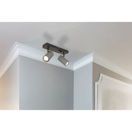 Globo - Strahler 2xGU10/25W/230V