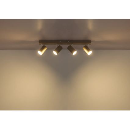 Globo - Deckenstrahler 4xGU10/35W/230V