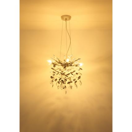 Globo - Pendelleuchte an Kabel 4xE14/40W/230V silber