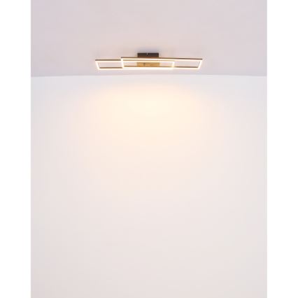 Globo - LED-Deckenleuchte LED/30W/230V 3000K 60x80 cm schwarz