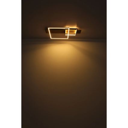 Globo 67289D1 - LED-Deckenleuchte VANNI LED/24W/230V 40x75 cm braun/schwarz