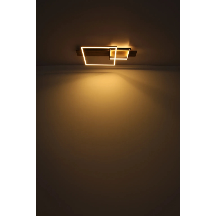 Globo 67289D1 - LED-Deckenleuchte VANNI LED/24W/230V 40x75 cm braun/schwarz