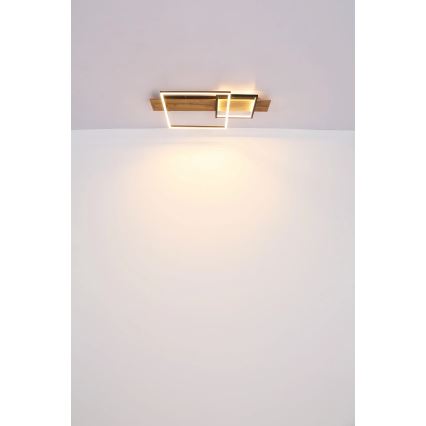 Globo 67289D1 - LED-Deckenleuchte VANNI LED/24W/230V 40x75 cm braun/schwarz