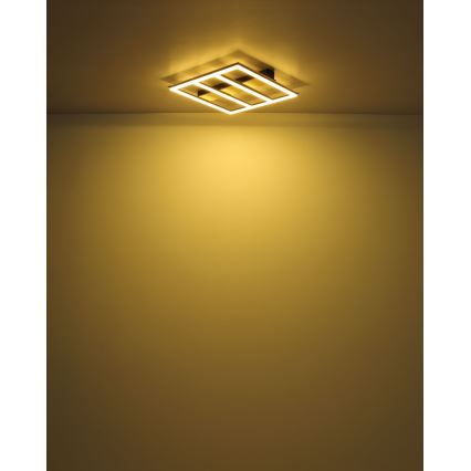 Globo - LED-Deckenleuchte LED/18W/230V 3000K 30x30 cm