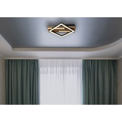 Globo - LED-Deckenleuchte LED/19W/230V 3000K 31x33 cm