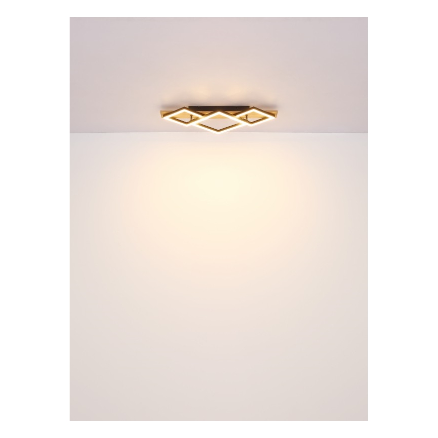Globo - LED-Deckenleuchte LED/32W/230V 3000K 31x61cm