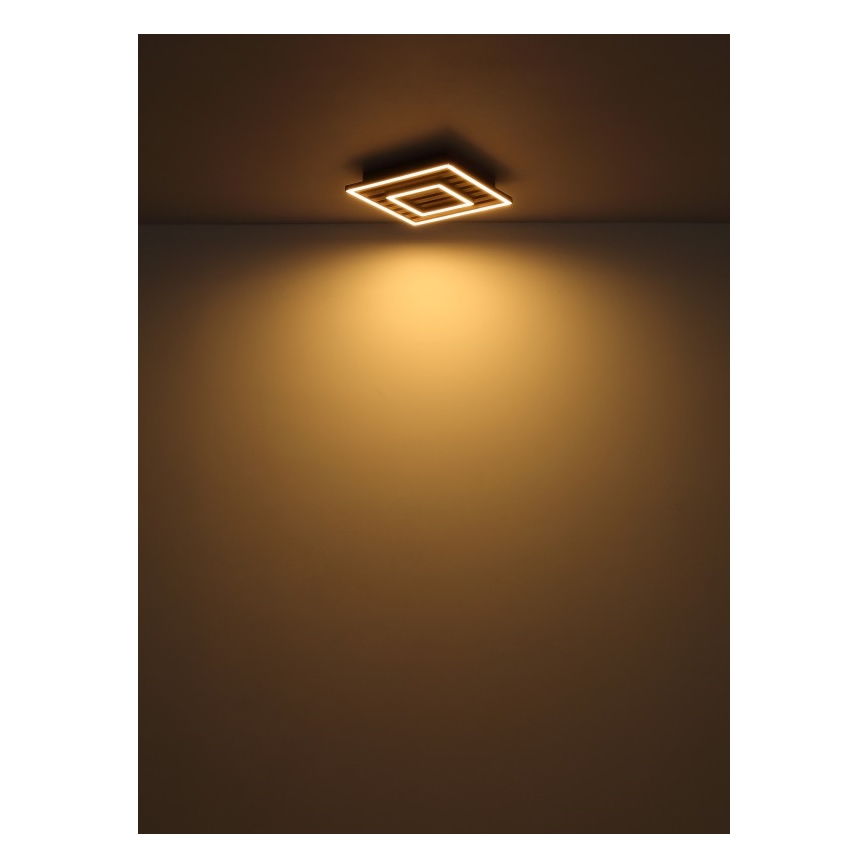 Globo - LED-Deckenleuchte LED/18W/230V 3000K 30x30 cm