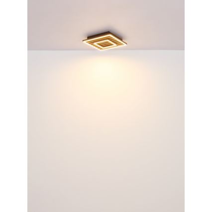 Globo - LED-Deckenleuchte LED/18W/230V 3000K 30x30 cm