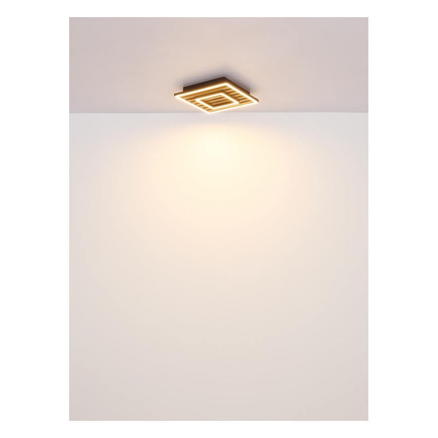 Globo - LED-Deckenleuchte LED/18W/230V 3000K 30x30 cm