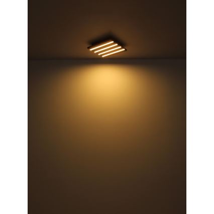 Globo - LED-Deckenleuchte LED/30W/230V 3000K 45x45 cm Holz