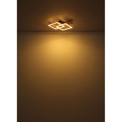 Globo - LED-Deckenleuchte LED/16W/230V 3000K 33x44 cm