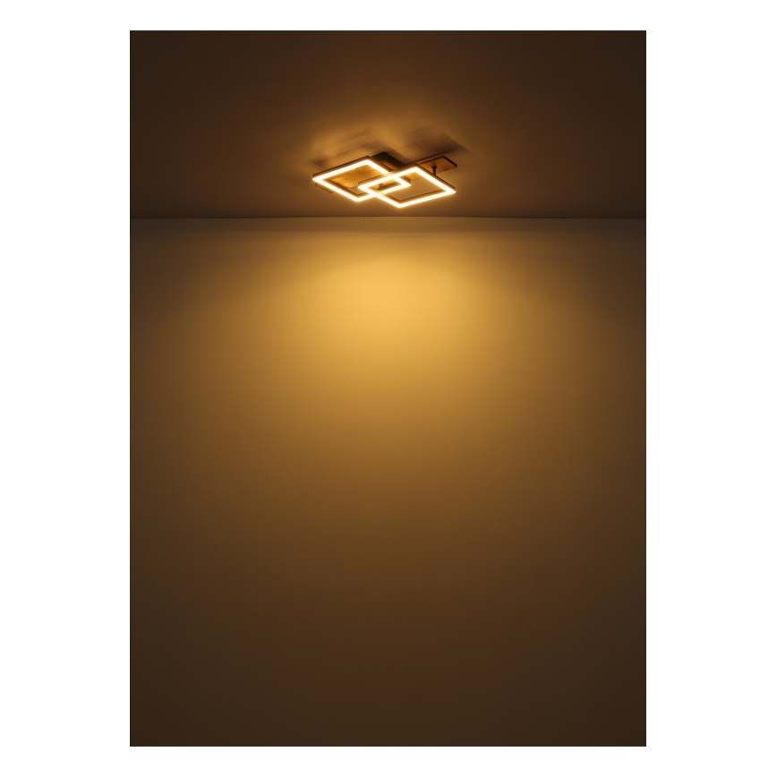 Globo - LED-Deckenleuchte LED/16W/230V 3000K 33x44 cm