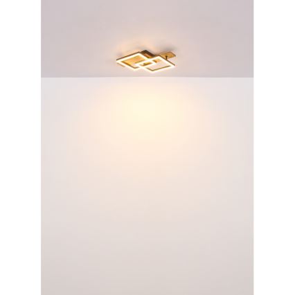 Globo - LED-Deckenleuchte LED/16W/230V 3000K 33x44 cm