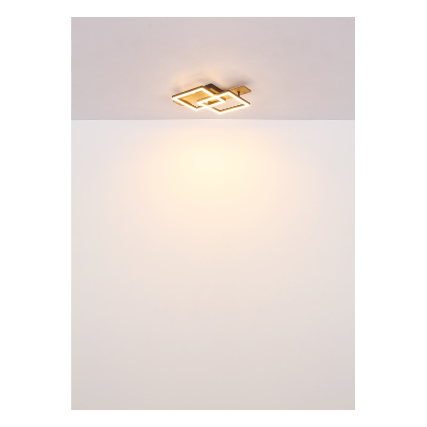 Globo - LED-Deckenleuchte LED/16W/230V 3000K 33x44 cm