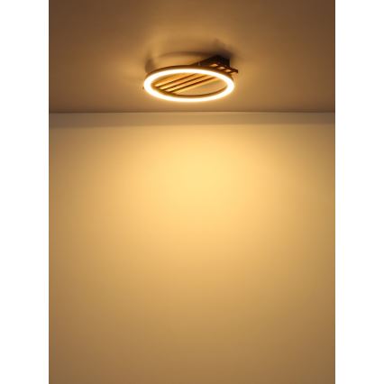Globo - LED-Deckenleuchte LED/12W/230V 3000K 30x34 cm