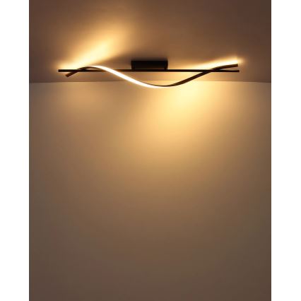 Globo - LED-Deckenleuchte LED/20,5W/230V 3000K