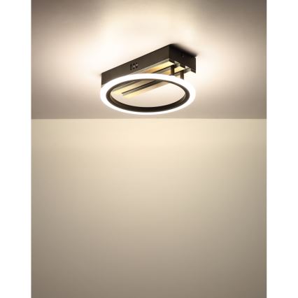 Globo - LED-Deckenleuchte LED/10W/230V 3000/4200/600K 25x25 cm