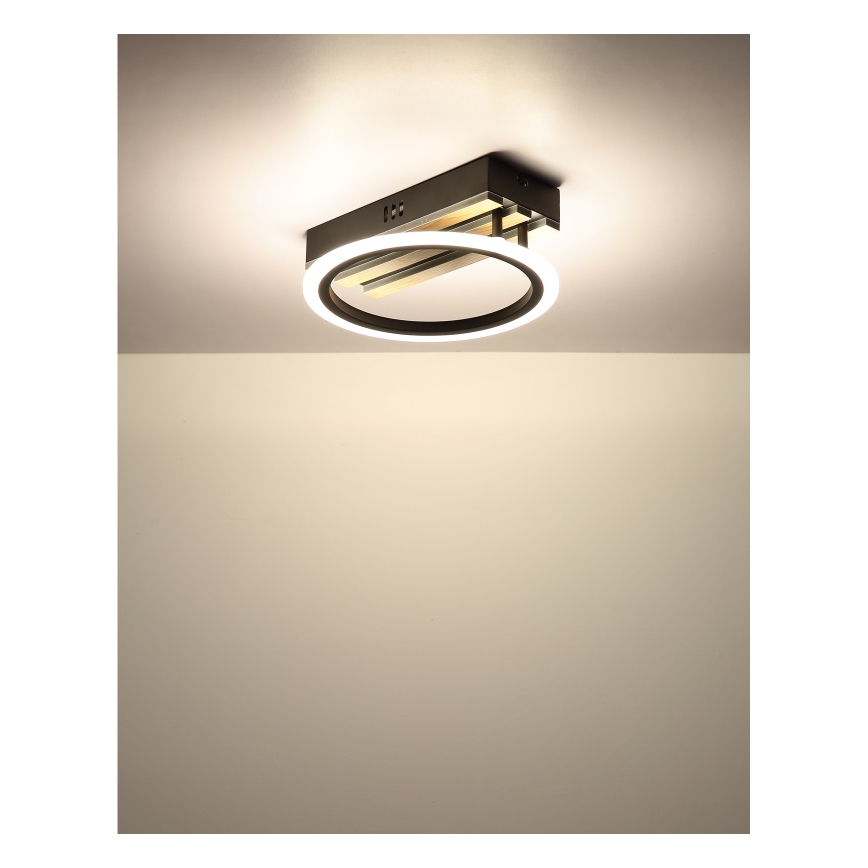 Globo - LED-Deckenleuchte LED/10W/230V 3000/4200/600K 25x25 cm