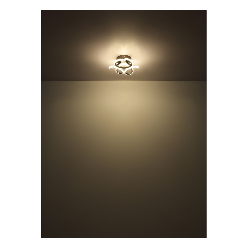 Globo - LED-Deckenleuchte LED/24W/230V 2700/4000/6000K d 26 cm schwarz