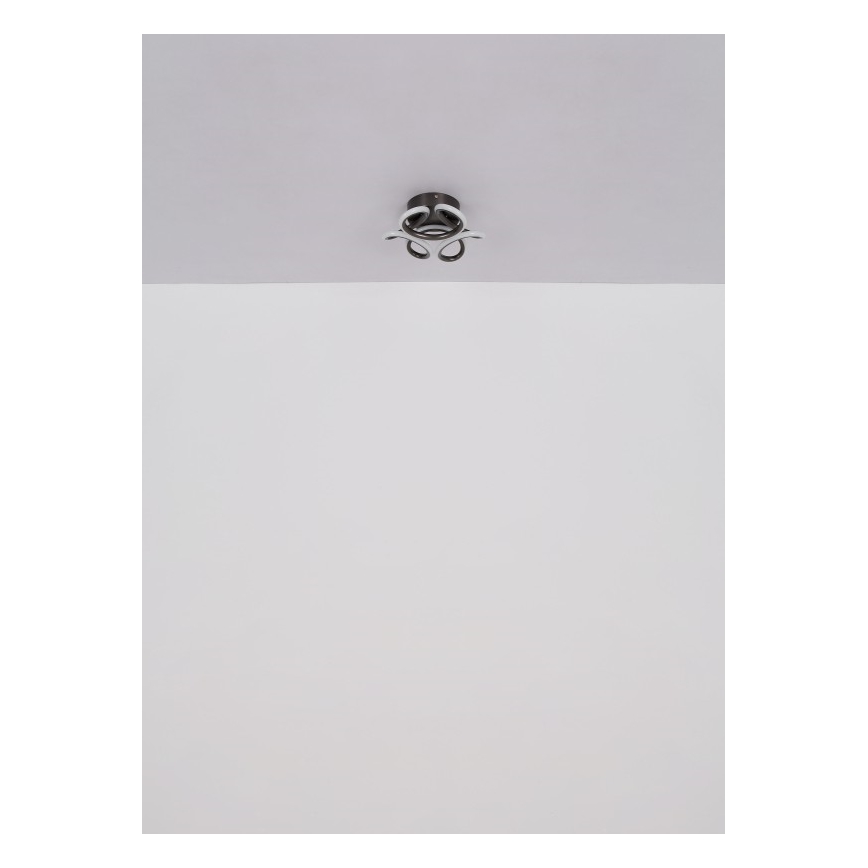 Globo - LED-Deckenleuchte LED/24W/230V 2700/4000/6000K d 26 cm schwarz