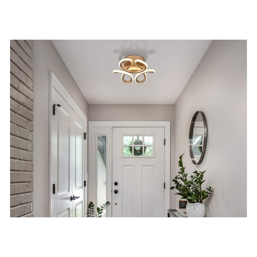 Globo - LED-Deckenleuchte LED/24W/230V 2700/4000/6000K d 26 cm golden