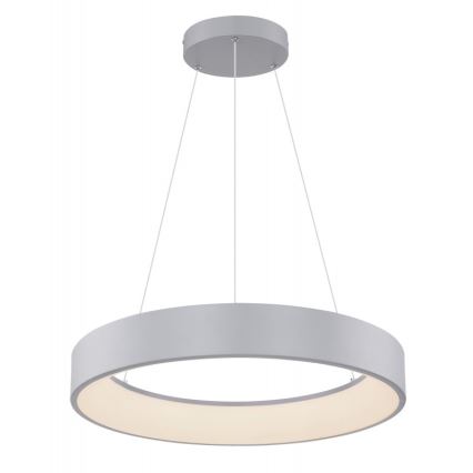 Globo - LED dimmbare Hängeleuchte an Seil LED/36W/230V + Fernbedienung