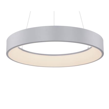 Globo - LED dimmbare Hängeleuchte an Seil LED/36W/230V + Fernbedienung