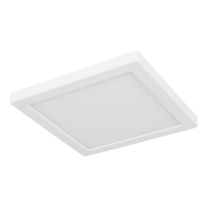 Globo - LED Deckenleuchte LED/12W/230V 3000/4000/6500K Weiß