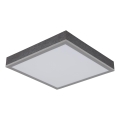 Globo - LED-Deckenleuchte LED/12W/230V 3000K 30x30 cm