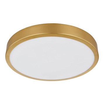 Globo - LED-Deckenleuchte LED/15W/230V d 25 cm