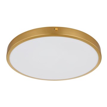 Globo - LED-Deckenleuchte LED/22W/230V d 35 cm