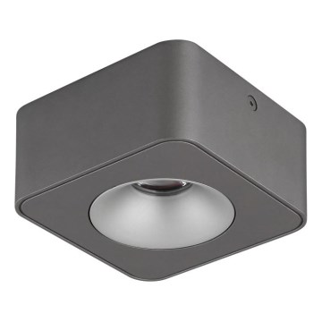 Globo - LED-Deckenleuchte LED/6,5W/230V 11,7x11,7 cm