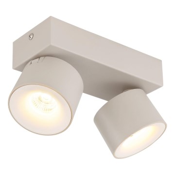 Globo - LED-Deckenstrahler 2xLED/6W/230V