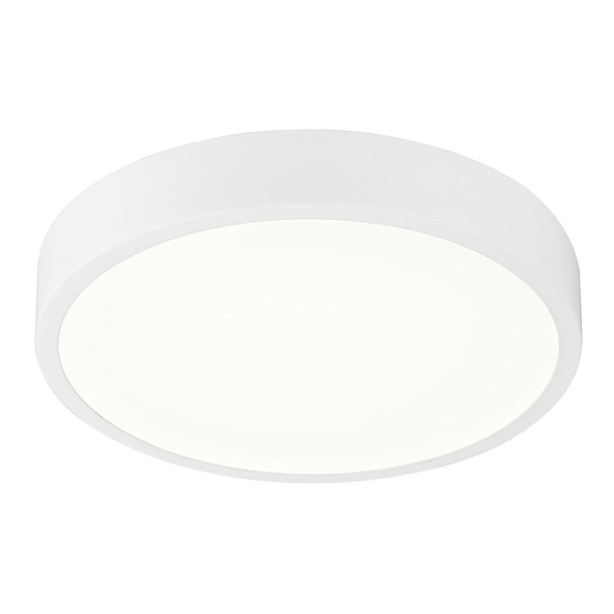 Globo - LED dimmbare Deckenleuchte LED/22W/230V